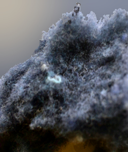 Wool Dust