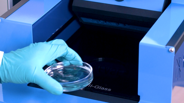 Fiber Sample in a Petri Dish Placed Onto the Scanner