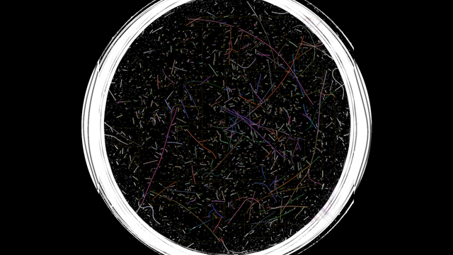 Fiber Image after Analysis with colored Overlay