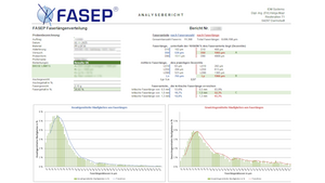 FASEP Report